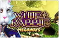 Der Slot White Rabbit.