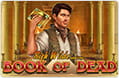 Book of Dead von Play'n GO ist eine gute Alternative zum Moon Princess Slot desselben Herstellers.