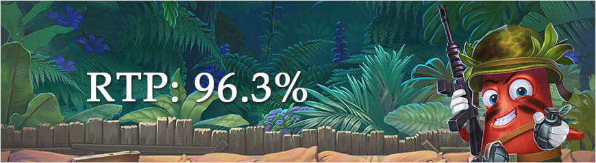 Der RTP-Wert des Platooners Slots beträgt 96.30%.