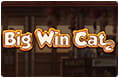 Der Big Win Cat Slot von Play'n GO.