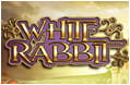 Der Slot White Rabbit.