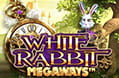 Der White Rabbit Slot.